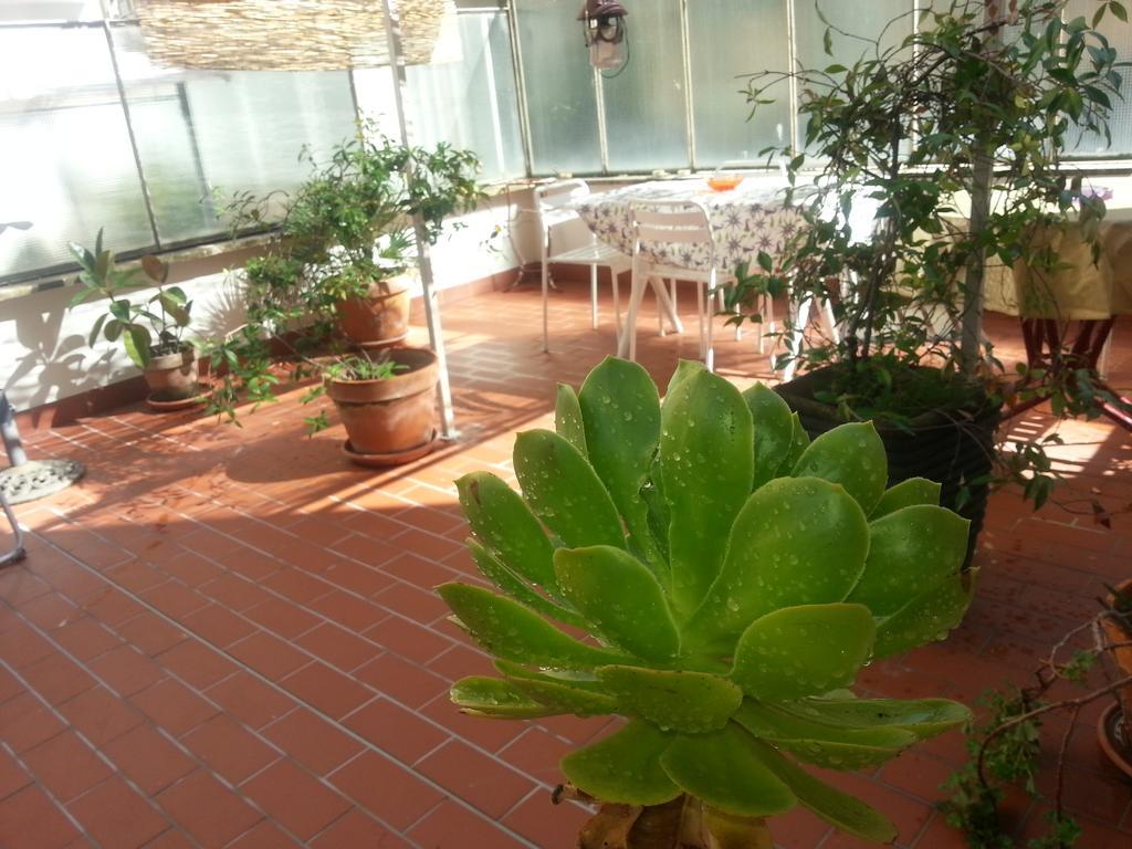 Apartment Pacelli *