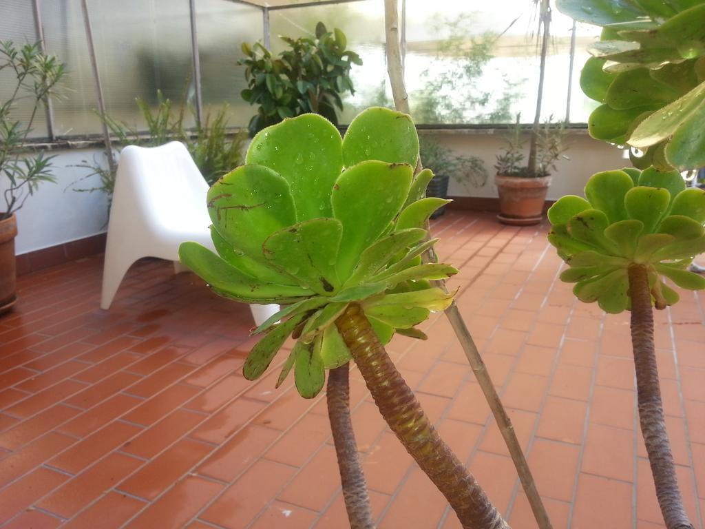 Apartment Pacelli *